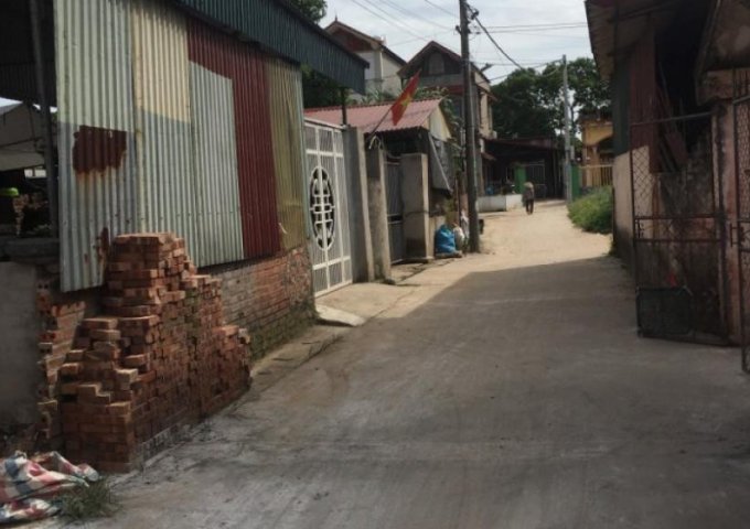 Chính chủ cần bán lô đất ở thôn 14 xã Nghĩa Trụ , huyện Văn Giang , tỉnh Hưng Yên