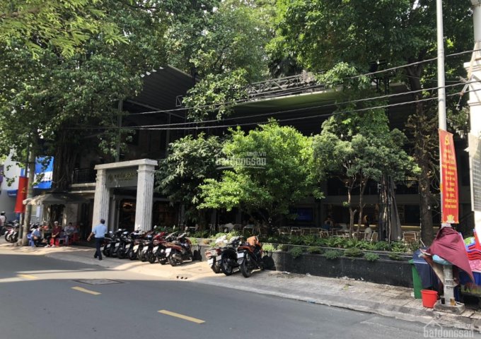Bán nhà khu biệt thự Vườn Lan Lê Hồng Phong - Trần Thiện Chánh, P12, quận 10. DT 5x23m, giá 27.5 tỷ