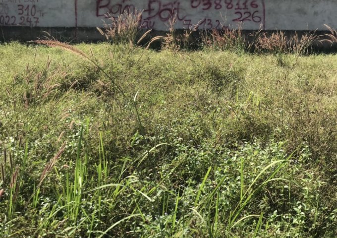 GIÁ RẺ BẤT NGỜ !! CHỈ 350 TRIỆU ĐÃ CÓ NGAY MIẾNG ĐẤT DIỆN TÍCH 7M X 13,2M VÀ 185 TRIỆU DIỆN TÍCH 4M X 13,6M GẦN TRUNG TÂM THÀNH PHỐ BIÊN HOÀ, CÁCH CÂY XĂNG 26 3KM !