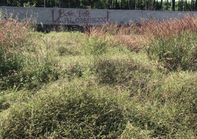 GIÁ RẺ BẤT NGỜ !! CHỈ 350 TRIỆU ĐÃ CÓ NGAY MIẾNG ĐẤT DIỆN TÍCH 7M X 13,2M VÀ 185 TRIỆU DIỆN TÍCH 4M X 13,6M GẦN TRUNG TÂM THÀNH PHỐ BIÊN HOÀ, CÁCH CÂY XĂNG 26 3KM !