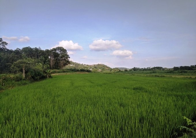 Bán đất thổ cư view hồ Cầu Bãi xã Bắc Sơn Sóc Sơn, 2300m2 giá 1.2 triệu/m2 LH 0398999629