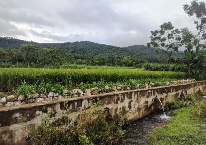 Bán đất thổ cư view hồ Cầu Bãi xã Bắc Sơn Sóc Sơn, 2300m2 giá 1.2 triệu/m2 LH 0398999629