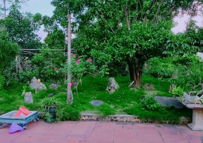 Bán khuân viên hoàn hảo bám hồ số 1 tại Hòa Sơn Lương Sơn 4000m2 thổ đc xây với kiến thức nhà cổ rẻ