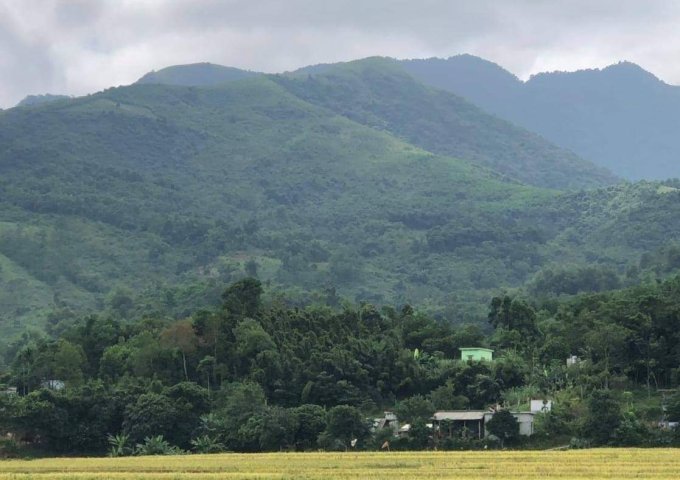 Bán đất Kim Bôi, Hòa Bình. Hợp đầu tư làm trang trại