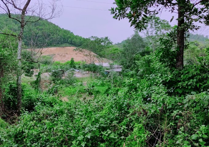 Cực Hiếm, bán gấp 2,4ha đất đẹp tại cư yên Lương Sơn, Hòa Bình