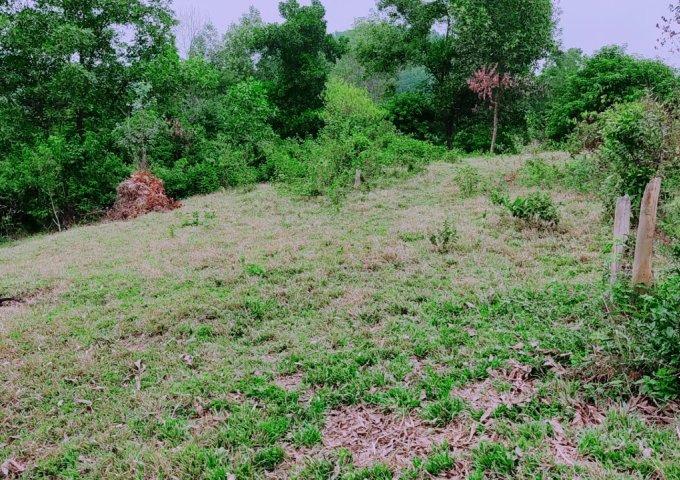 Cực Hiếm, bán gấp 2,4ha đất đẹp tại cư yên Lương Sơn, Hòa Bình