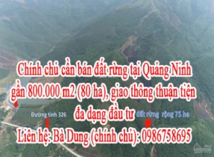 Chính chủ cần bán đất rừng tại Quảng Ninh gần 800.000 m2 (80 ha), giao thông thuận tiện, đa dạng đầu tư.