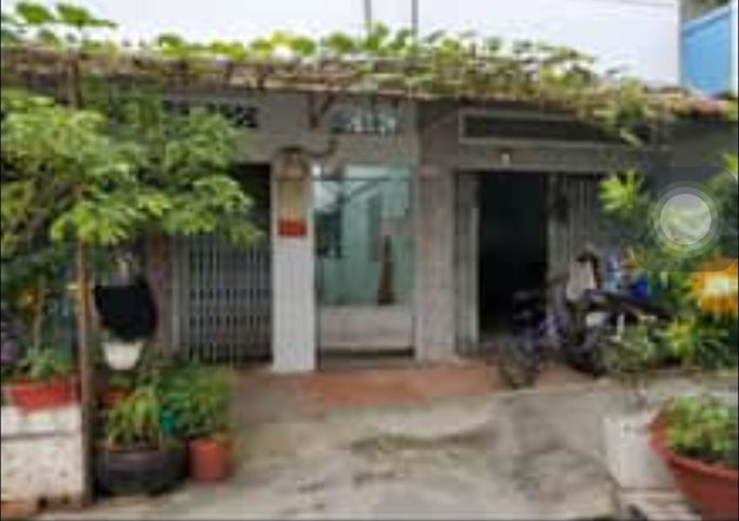 Chính Chủ Cần Bán 2 Căn Nhà Tại Phường 8 - Gò Gấp - Hồ Chí Minh .