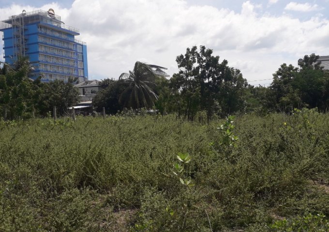 CẦN BÁN 2 LÔ ĐẤT BIỂN ĐƯỜNG YÊN NINH - THỊ TRẤN KHÁNH HẢI - HUYỆN NINH HẢI - TỈNH NINH THUẬN