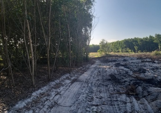 Đất  200 thổ cư 5800m2 hai mặt tiền gần KCN Sơn Mỹ-Bình Thuận, 345.000/m2