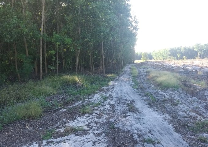 Đất  200 thổ cư 5800m2 hai mặt tiền gần KCN Sơn Mỹ-Bình Thuận, 345.000/m2