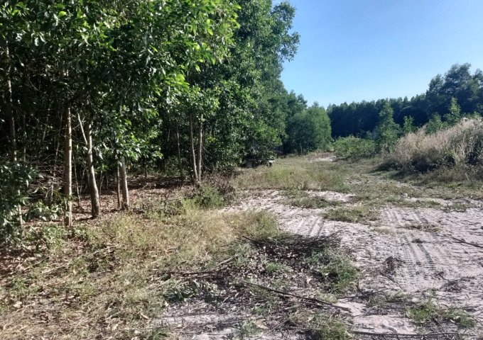 Đất  200 thổ cư 5800m2 hai mặt tiền gần KCN Sơn Mỹ-Bình Thuận, 345.000/m2