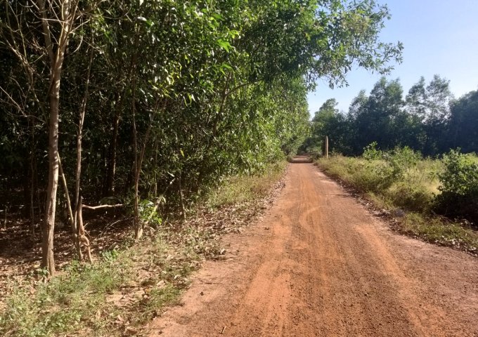 Đất  200 thổ cư 5800m2 hai mặt tiền gần KCN Sơn Mỹ-Bình Thuận, 345.000/m2