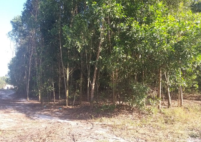 Đất  200 thổ cư 5800m2 hai mặt tiền gần KCN Sơn Mỹ-Bình Thuận, 345.000/m2