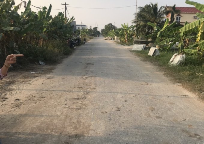 Bán nhanh lô đất tuyệt phẩm đường bộ ven biển tại Đồ Sơn,Hải Phòng.