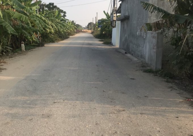 Bán nhanh lô đất tuyệt phẩm đường bộ ven biển tại Đồ Sơn,Hải Phòng.