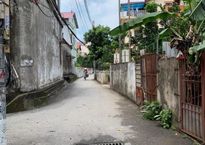 BÁN 41M2 ĐẤT TRONG NGÕ CÁCH ĐƯỜNG Ô TÔ 20M ĐƯỜNG ĐÊ VÀNG, TỔ 2 PHƯỜNG GIANG BIÊN, LONG BIÊN,HN