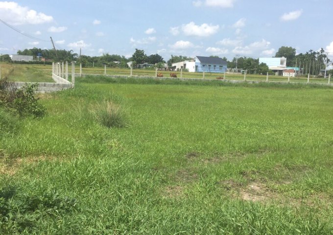 CHÍNH CHỦ CẦN BÁN GẤP ĐẤT MẶT TIỀN ĐƯỜNG TL9, ẤP RỪNG SẾN, XÃ MỸ HẠNH BẮC, HUYỆN ĐỨC HÒA, TỈNH LONG AN.