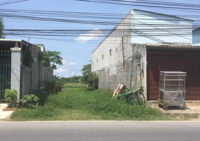 CHÍNH CHỦ CẦN BÁN GẤP ĐẤT MẶT TIỀN ĐƯỜNG TL9, ẤP RỪNG SẾN, XÃ MỸ HẠNH BẮC, HUYỆN ĐỨC HÒA, TỈNH LONG AN.