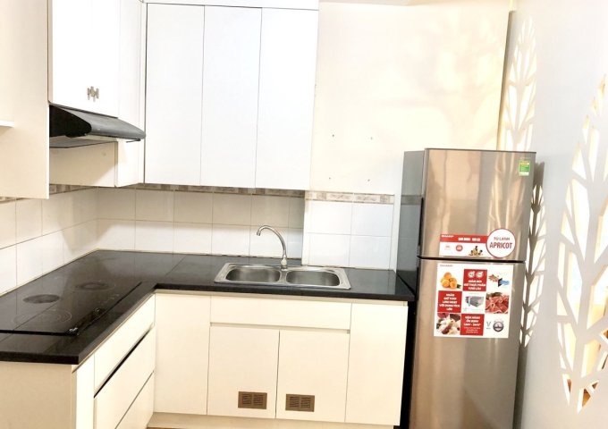 Chính chủ cho thuê căn hộ ehome 5 Trần Trọng Cung quận 7