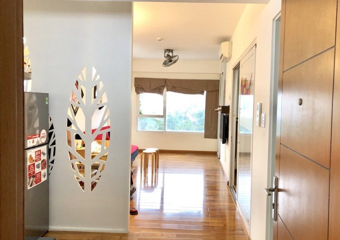 Chính chủ cho thuê căn hộ ehome 5 Trần Trọng Cung quận 7