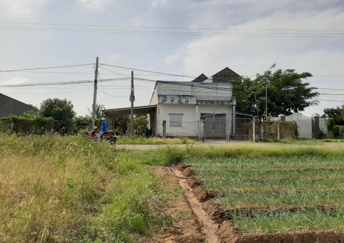 Bán đất tại Phường 2, Vĩnh Châu,  Sóc Trăng diện tích 1590m2  giá 2100 Triệu