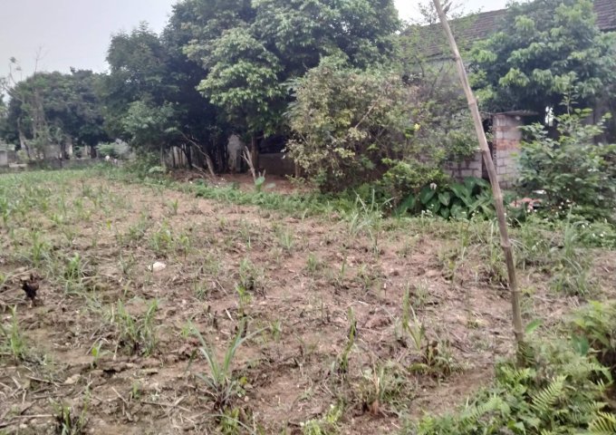 CHÍNH CHỦ CẦN BÁN LÔ ĐẤT VỊ TRÍ ĐẸP ĐC : XÃ CÚC PHƯƠNG HUYỆN NHO QUAN TỈNH NINH BÌNH