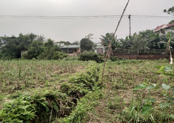 CHÍNH CHỦ CẦN BÁN LÔ ĐẤT VỊ TRÍ ĐẸP ĐC : XÃ CÚC PHƯƠNG HUYỆN NHO QUAN TỈNH NINH BÌNH