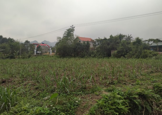 CHÍNH CHỦ CẦN BÁN LÔ ĐẤT VỊ TRÍ ĐẸP ĐC : XÃ CÚC PHƯƠNG HUYỆN NHO QUAN TỈNH NINH BÌNH