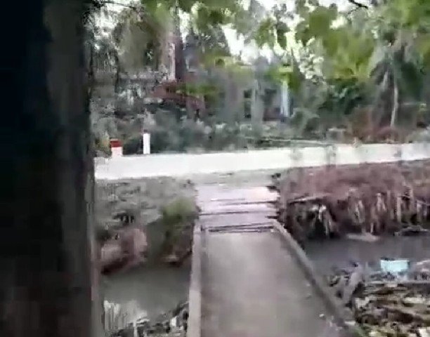 CHÍNH CHỦ CẦN BÁN ĐẤT VƯỜN ĐẸP 1.000 M2 TẠI BẾN TRE