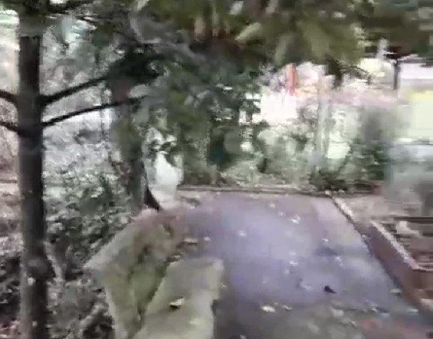 CHÍNH CHỦ CẦN BÁN ĐẤT VƯỜN ĐẸP 1.000 M2 TẠI BẾN TRE