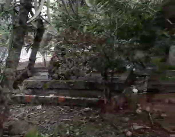 CHÍNH CHỦ CẦN BÁN ĐẤT VƯỜN ĐẸP 1.000 M2 TẠI BẾN TRE