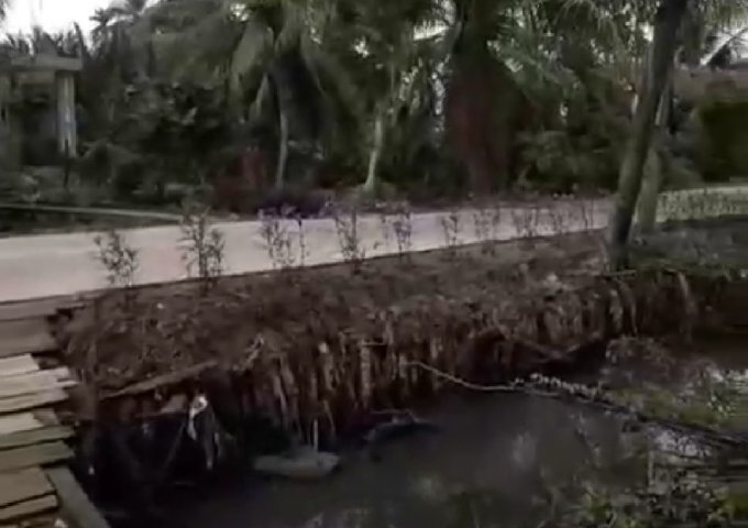 CHÍNH CHỦ CẦN BÁN ĐẤT VƯỜN ĐẸP 1.000 M2 TẠI BẾN TRE