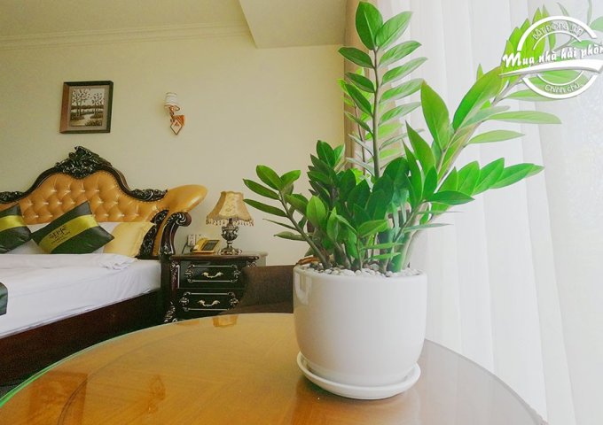 Bán Khách Sạn Phạm Hà Hotel Số 139 Hoàng Thế Thiện Ngô Quyền Hải Phòng