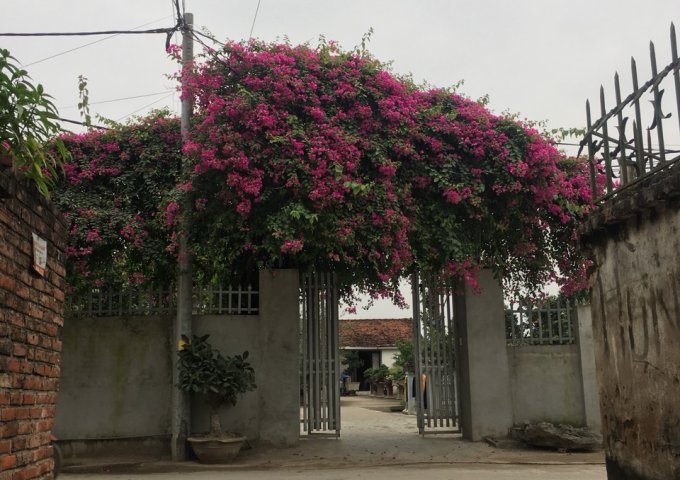 Bán 1 lô duy nhất thôn Phù Yên-xã Trường Yên-Chương Mỹ-HN.Dt 72m2.Mt 5m*Nở hậu.giá 600 Triệu.