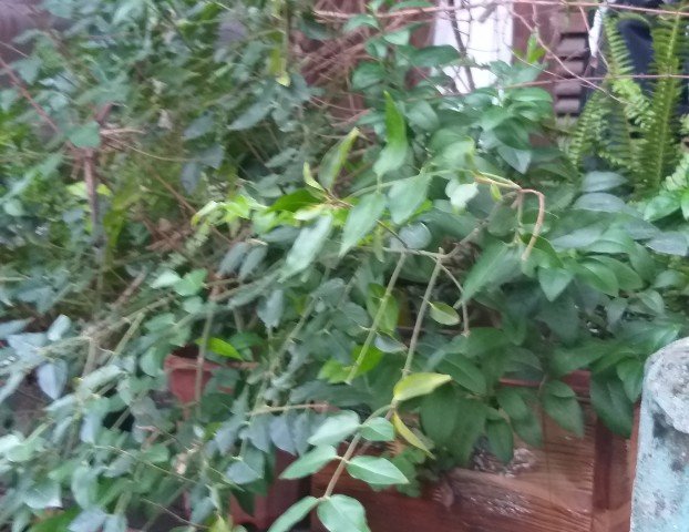 Cần bán nhà vị trí vàng số 78 phố Quán Sứ, Hoàn Kiếm, giá hấp dẫn