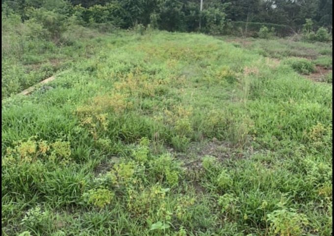 Chính Chủ Cần Bán Lô Đất Đẹp Tại Xã Trung Hòa - Huyện Trảng Bom - Tỉnh Đồng Nai .