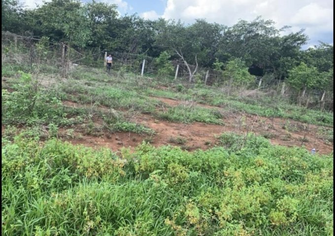 Chính Chủ Cần Bán Lô Đất Đẹp Tại Xã Trung Hòa - Huyện Trảng Bom - Tỉnh Đồng Nai .