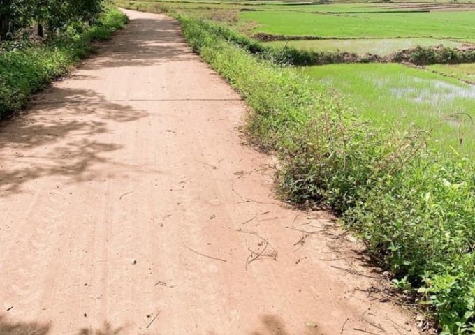 Cần Bán Lô Đất Đẹp Tại xã Cư M`gar - Huyện  Cư M`gar - Tỉnh Đắk Lắk  .1