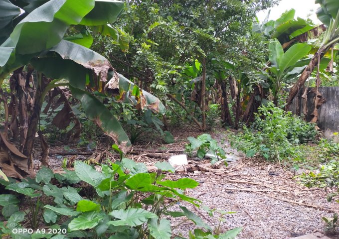 BÁN 271M2 ĐẤT Ở TỔ 19 THƯỢNG THANH, LONG BIÊN, HÀ NỘI