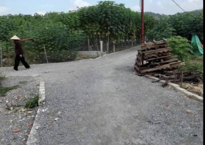 Bán đất gần khu đô thị Lideco Bãi Muối