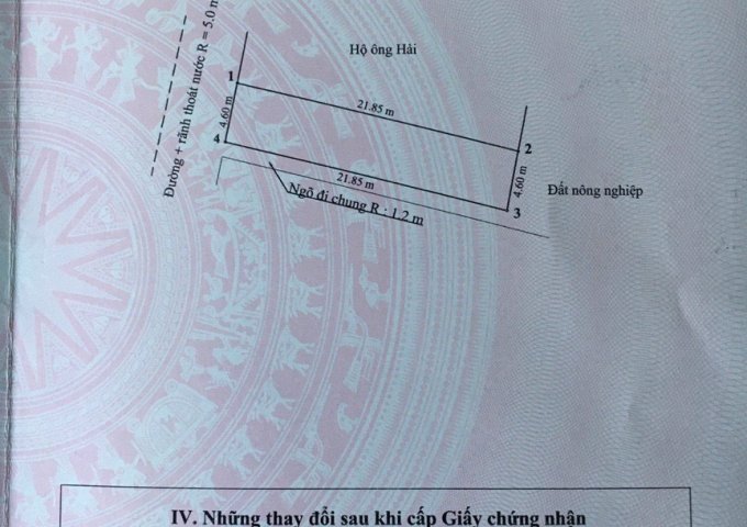 Bán lô góc 2 mặt tiền 100,3m2 tại Thôn Ngói, Kênh Giang, Thủy Nguyên. Hướng Tây Bắc, Gía 7xx triệu
