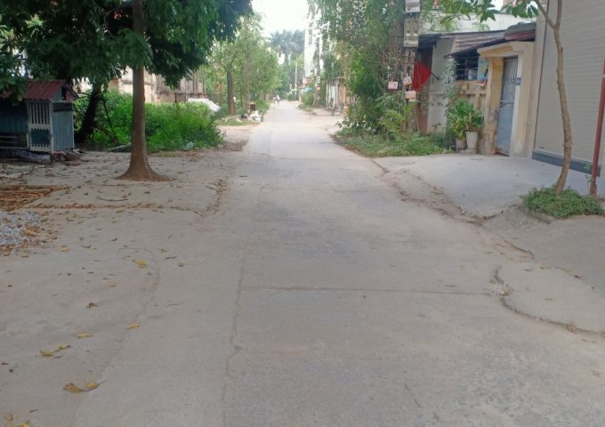 Bán đất dịch vụ Lưu Xá - Quất Động - Thường Tín 