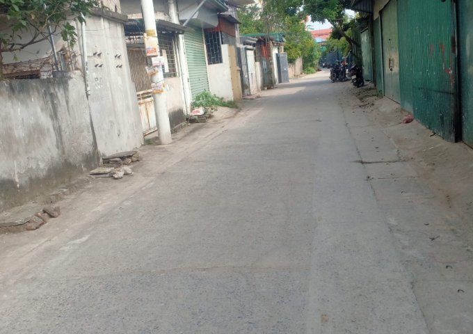 Bán đất dịch vụ Lưu Xá - Quất Động - Thường Tín 