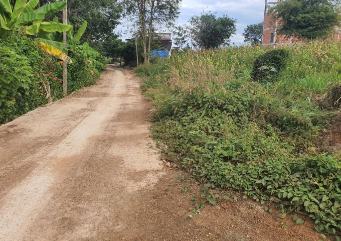 CHÍNH CHỦ CẦN BÁN GẤP LÔ ĐẤT VỊ TRÍ ĐẸP GIÁ RẺ NHẤT KHU VỰC TẠI XÃ THANH LƯƠNG, THỊ XÃ BÌNH LONG, TỈNH BÌNH PHƯỚC. LH  0389557652