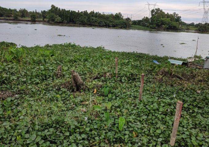 Cân bán 2633m2 đất đường sông Lu, Giáp Sông Sài Gòn, Xã Trung An, Củ Chi, TP. Hồ Chí Minh