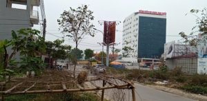Chính chủ cần bán lô đất tại Tân Yên – Bắc Giang.