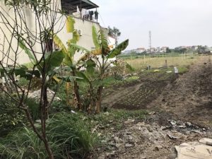 Chính chủ cần bán lô đất ở thị trấn Yên Ninh , huyện Yên Khánh , tỉnh Ninh Bình