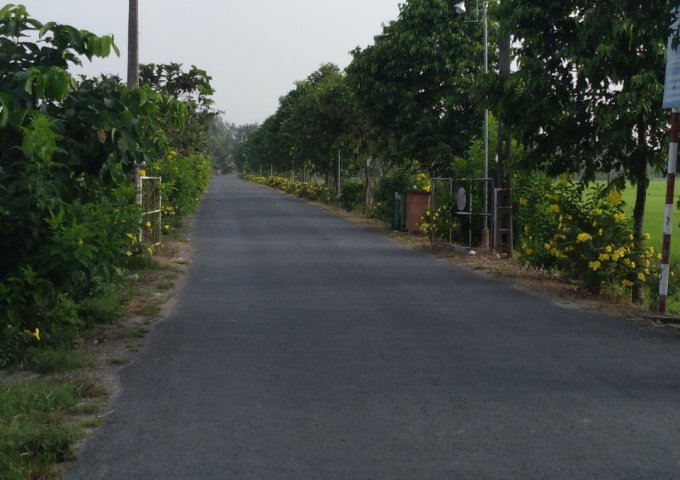 Chính Chủ Cần Bán Lô Đất Vườn Trồng Dừa Và Xoài Tại Huyện Mang Thít, Tỉnh Vĩnh Long