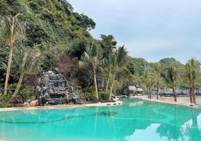 Bán gấp căn tầng 15 tòa The Sun Wyndham Flamingo Cát Bà. Giá 1.6 tỷ, nhận 5 năm LN, 30 đêm nghỉ/năm